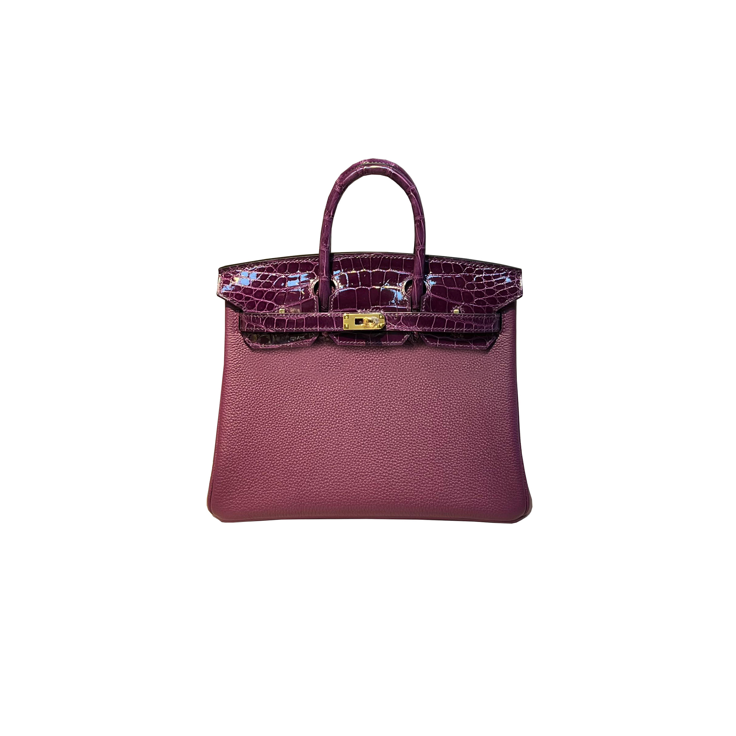 HERMÈS MASTER BIRKIN 25 CROCODILE AND TOGO LEATHER GRAPE PURPLE GOLD BUCKLE H076216CK43 (25*20*13cm)